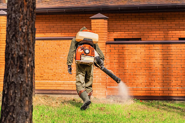 Trusted Termite Control service in Dowagiac, MI - Nex Pest Control